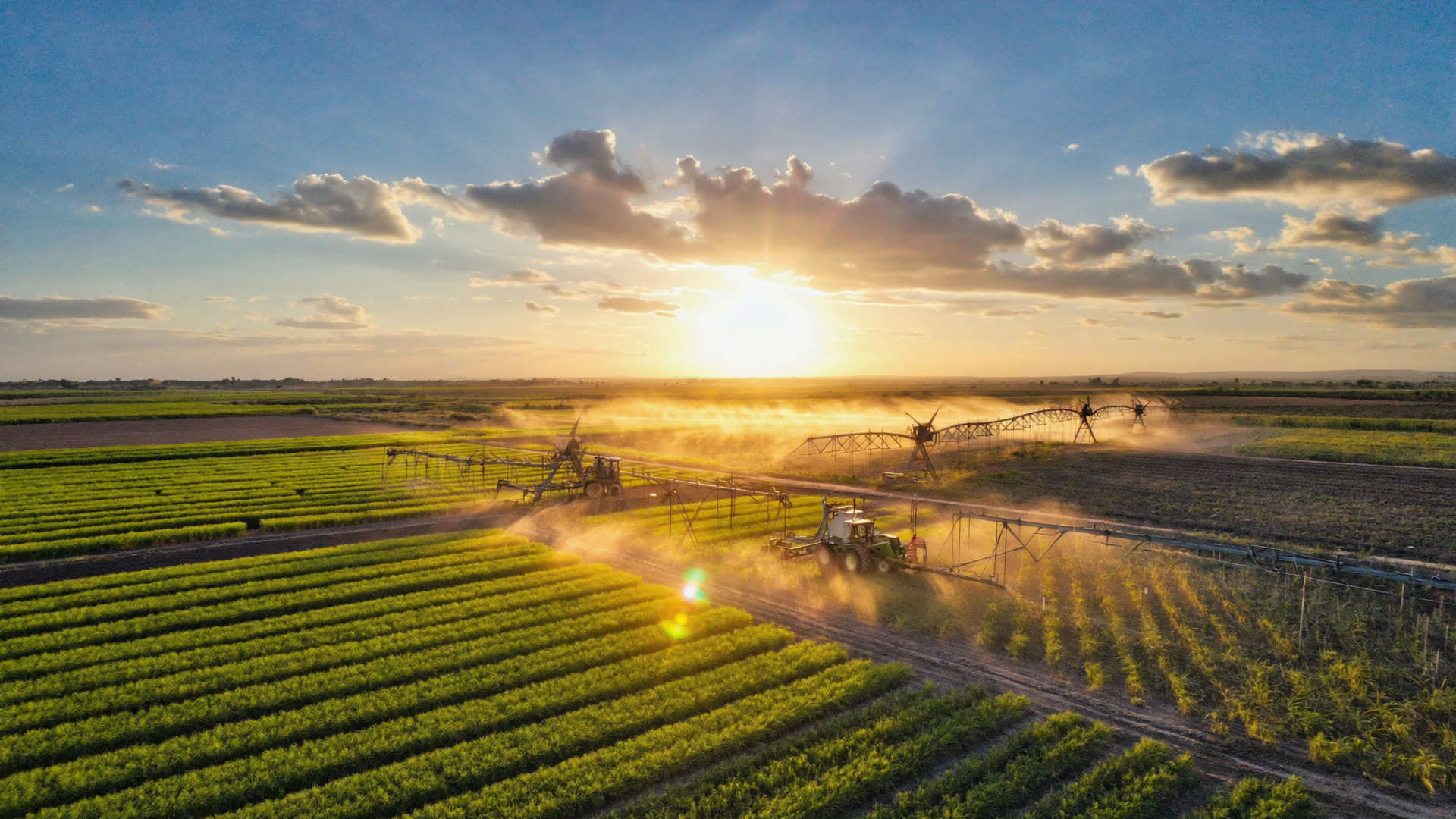 Agriculture moderne ferme Daloa